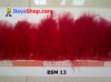 BSM 13 medium.jpg